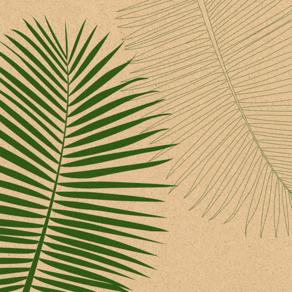 1814835 00522 01 01 TT SS YR 2019 Leaf Paper Placemat